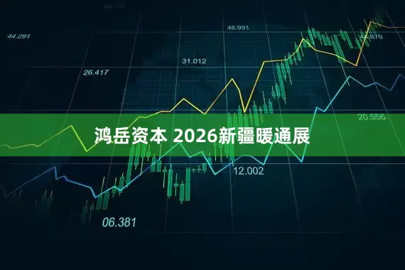 鸿岳资本 2026新疆暖通展