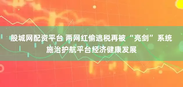 股城网配资平台 两网红偷逃税再被 “亮剑” 系统施治护航平台经济健康发展
